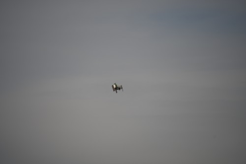 Jayu_KNUQ_Moffett-Airfield_CA_20200228_KS5_0154_Photo-Ken-Swartz.jpg