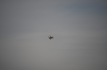 Jayu_KNUQ_Moffett-Airfield_CA_20200228_KS5_0154_Photo-Ken-Swartz