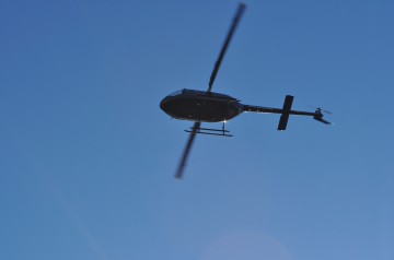 DSC_0291
