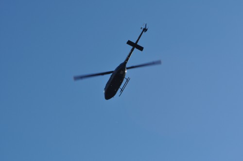 DSC_0293.jpg