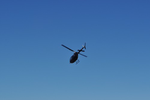 DSC_0409.jpg