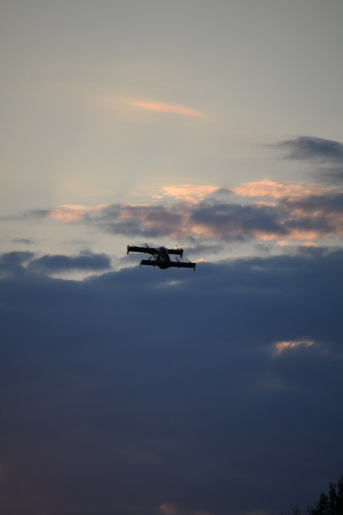 0_1_OpenerBlackFly_Flying_Opener-BlackFly_BEE_KOSH_Oshkosh_WI_20220726_DSC_9120.jpg